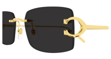 Cartier CT0605S-001