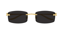 Cartier CT0552S-001