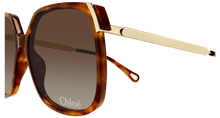 Chloé CH0286S-002