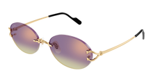 Cartier CT0551S-006