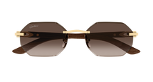 Cartier CT0439S-006