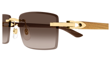 Cartier CT0582S-003