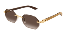 Cartier CT0439S-006