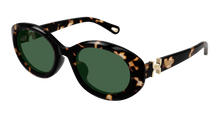 Chloé CH0323SK-002