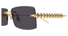 Cartier CT0604S-002