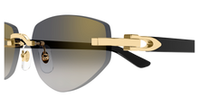 Cartier CT0580S-001