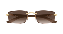 Cartier CT0582S-003