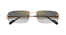 Cartier CT0465S-009
