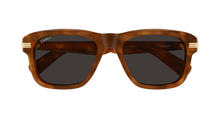 Cartier CT0657S-004