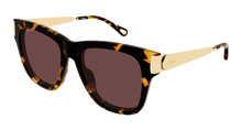 Chloé CH0349S-003