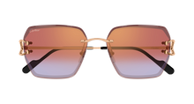 Cartier CT0466S-005