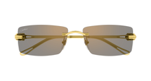 Cartier CT0647S-002