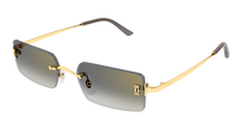 Cartier CT0672S-005