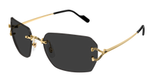 Cartier CT0664S-001