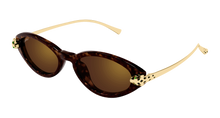 Cartier CT0634S-002