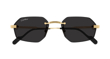 Cartier CT0616S-001