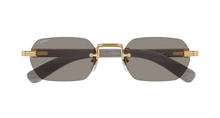 Cartier CT0362S-005