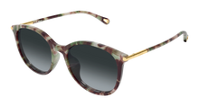 Chloé CH0397SK-004