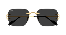 Cartier CT0664S-001
