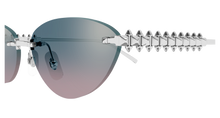 Cartier CT0543S-005