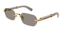 Cartier CT0362S-005