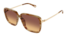 Chloé CH0405S-004