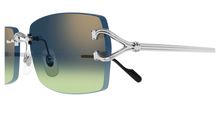 Cartier CT0550S-008