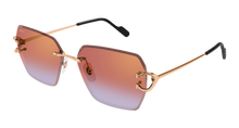 Cartier CT0466S-005