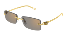 Cartier CT0647S-002